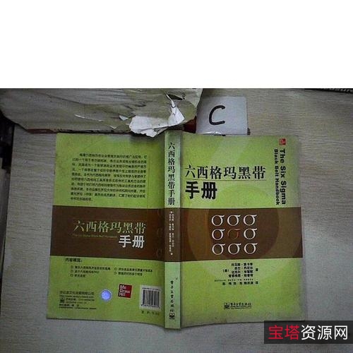 知名韩企六西格玛(6sigma)黑带培训教材