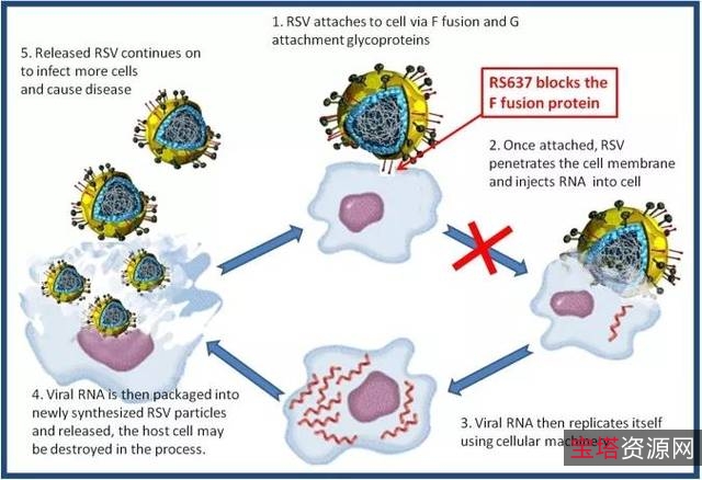 U盘病毒免疫软件