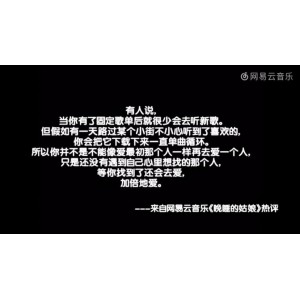 网抑云,一款可以自动屏蔽音乐热评的网站源码。+