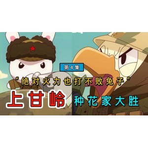 《[精品国漫]那年那兔那些事第一季~五季+番外大全集》：友情、勇气、热情、坚毅的经典之作