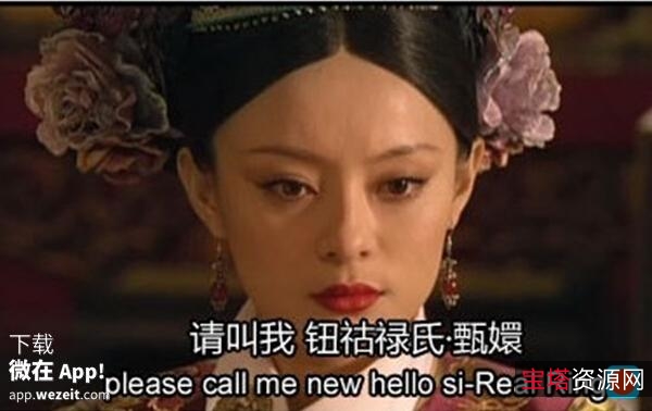 《后宫·甄嬛传：以勇气和智慧攀登政治高峰（2011）》