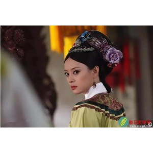 《后宫·甄嬛传：以勇气和智慧攀登政治高峰（2011）》