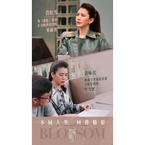 2022《盛装》IMDb评分7.1分，豆瓣评分7.5分，29集国语内嵌中字宋佳、袁咏仪等联袂主演的4K中字电视剧