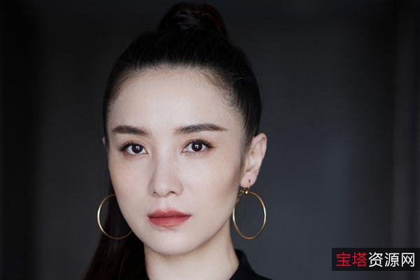 2022《盛装》IMDb评分7.1分，豆瓣评分7.5分，29集国语内嵌中字宋佳、袁咏仪等联袂主演的4K中字电视剧