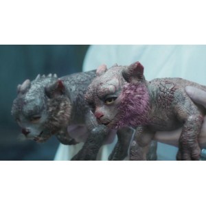 《雪中悍刀行》第26集最新更新：古天乐饰演的英雄豪杰守护家园的生死搏斗