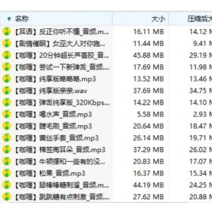 《A失眠R舰长包：放松心情，梦幻般的助眠口腔音，1.21g尺度绅士舔耳体验》