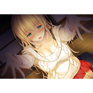 火爆日系PC-ADV《与残恋姐姐的幸福论》：精美2D画面、姐弟恋、S、M、H场面