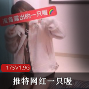 抖音80W粉丝网红推特175V1.9G网红妹子人前展示多人游野外互动