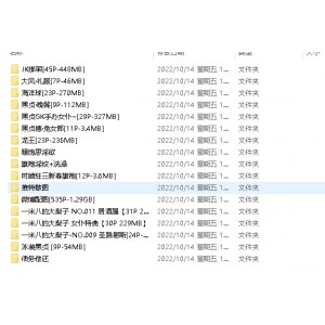 大梨子写真合集多人游，4.3G百度云资源