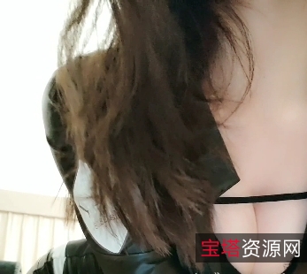 21.4.2831P双芯2V1.12G充电宝