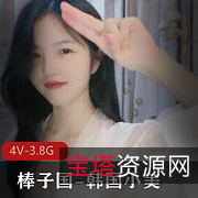 韩国小美4V资源包：紫薇棒子国女神粉丝福利，3.8G身材颜值玩具一次解决