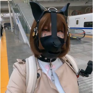 满月之夜小合集，17.9G，12v