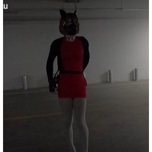 满月之夜小合集，17.9G，12v