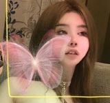 91小蓝-香车美女篇+Roses鲤鲤(28P+2V|700m)