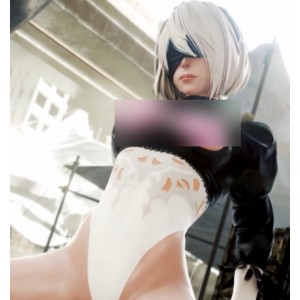 诱人的[转载搬运]2B同人3D短片合集99V18.4G