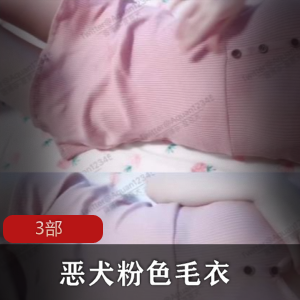 恶犬粉色毛衣套装