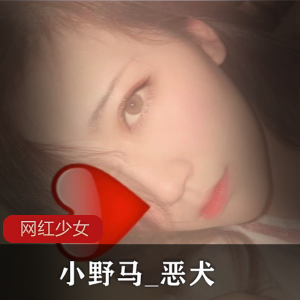 推特网红恶犬23G合集，美少女的互动答谢新作