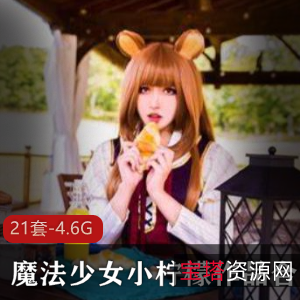 小柠檬魔法少女视频合集,4.6G大小,21套视频