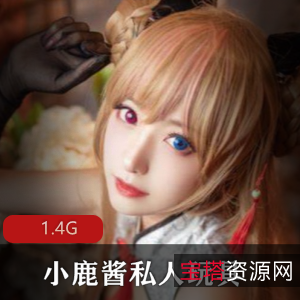 小鹿酱精品资源合集，水晶棒视频1.4G