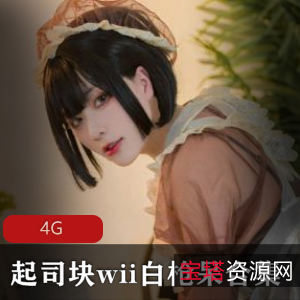 FL姬起司块wii:女神级精选身材,4G魅魔束缚作品