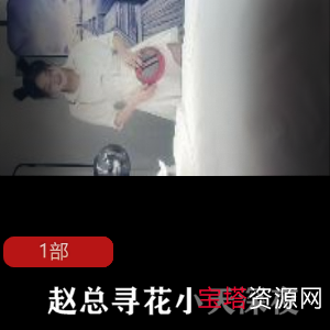 深夜寻花的赵总与身材美妇的小天