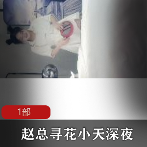 深夜寻花的赵总与身材美妇的小天