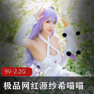 源纱希喵喵稀缺定制合集，9V-2.2G视频数量超多！