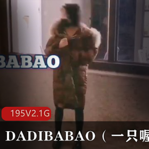 社保姬DADIBABAO私拍合集：三洞束缚展示，195V2.1G有趣内衣