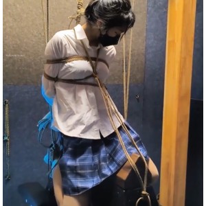 雨辰工作室指教视频合集，26G大小，13部作品，百度盘下载，小众资源，喜欢不容错过