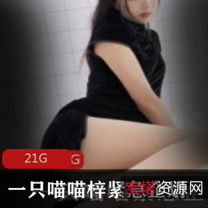 PR社女神喵喵梓合集：21G视频大放送，绅士福利不容错过