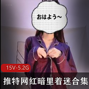 网红少女-暗里着迷，15V，5.2G作品，身材皮肤一流，男人们必收藏