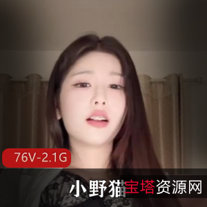 网红短视频小野猫最新合集76V2.1G,包含道具秀与真人作品