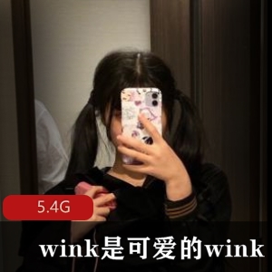 私拍合集可爱wink露脸蒙眼资源5.4G，超性感身材