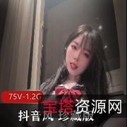 珍藏版抖音风超值全集75部1.2G欲罢不能